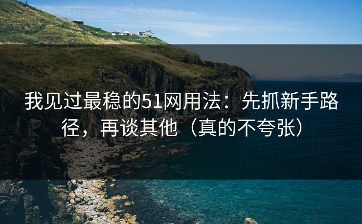 我见过最稳的51网用法：先抓新手路径，再谈其他（真的不夸张）