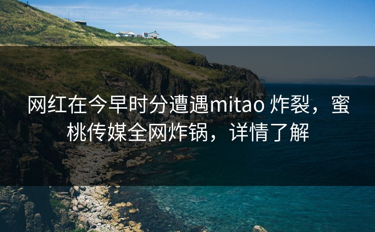 网红在今早时分遭遇mitao 炸裂，蜜桃传媒全网炸锅，详情了解