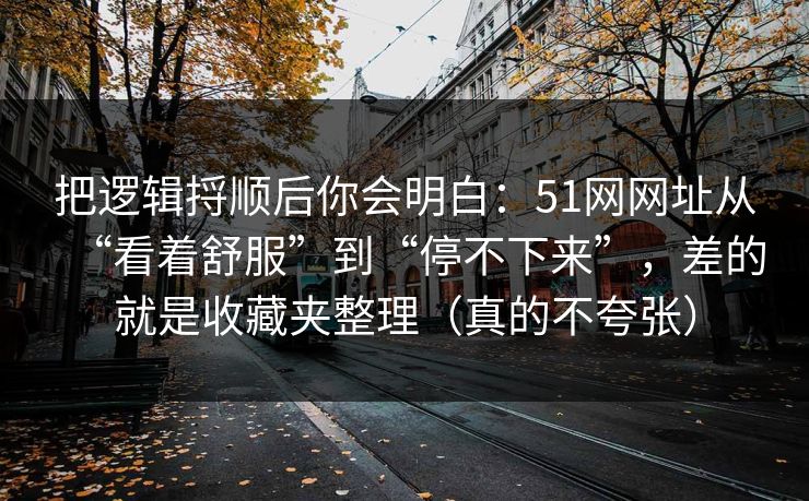 把逻辑捋顺后你会明白:51网网址从“看着舒服”到“停不下来”,差的就是收藏夹整理(真的不夸张) 把逻辑捋顺后你会明白:51网网址从“看着舒服”到“停不下来”,差的就是收藏夹整理(真的不夸张)