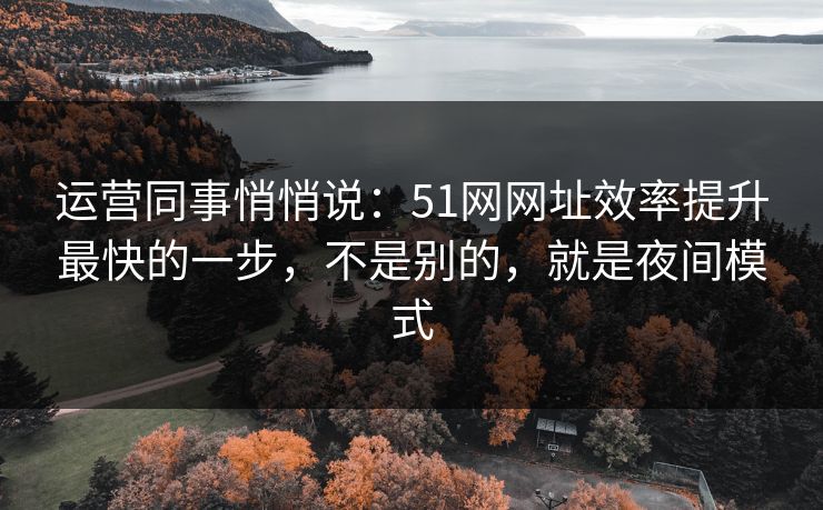 运营同事悄悄说：51网网址效率提升最快的一步，不是别的，就是夜间模式